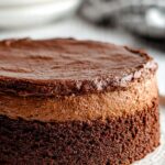 Burnt Chocolate Basque Cheesecake Recipe