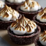 Gluten Free Hot Chocolate Cookies with Gooey Filling and Toasted Swiss Meringue Recipe