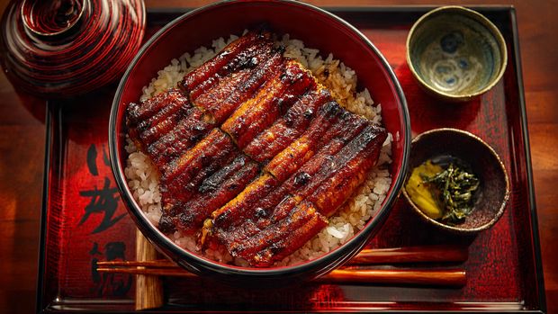 Authentic Unagi Don (Grilled Eel Rice Bowl) Recipe