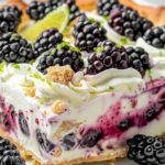 Blackberry Lime Delight - No Bake Recipe