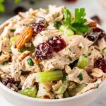Cranberry Pecan Chicken Salad Recipe